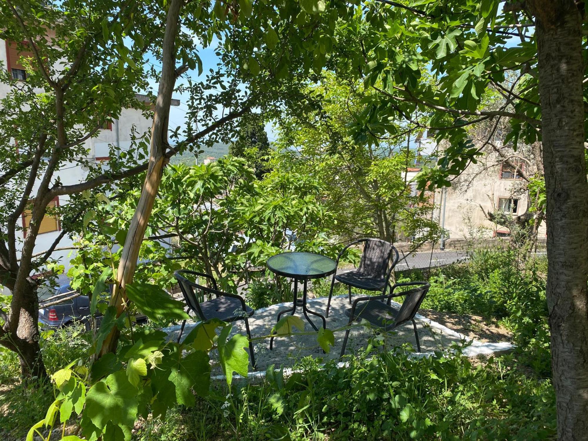 Appartement Noemi House